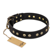 "Black Elegance" FDT Artisan Leather Golden Retriever Collar with Round Studs