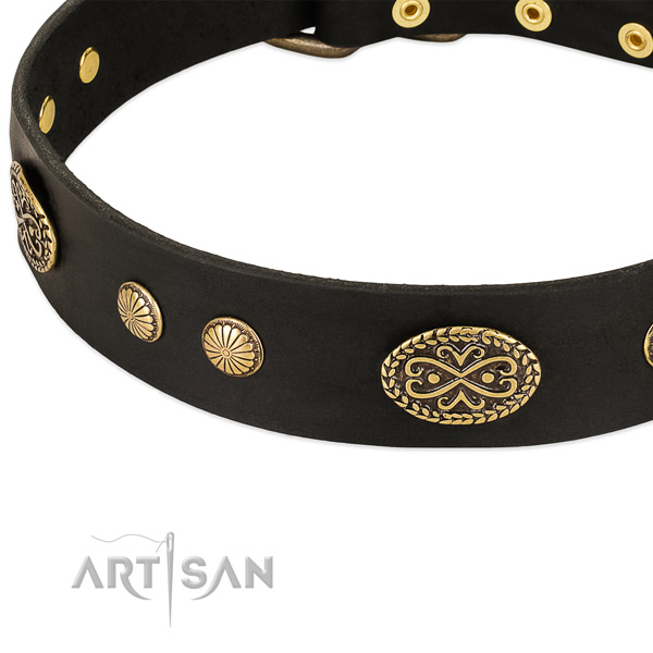 Corrosion proof studs on natural leather dog collar for your canine
