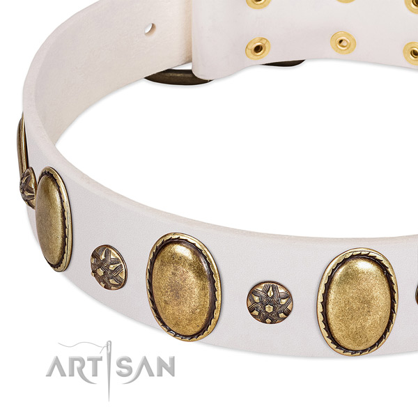 Easy wearing best quality full grain natural leather dog collar with studs