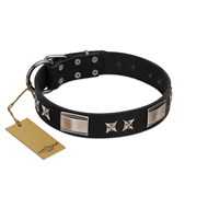 "Pitch Dark" FDT Artisan Black Leather Golden Retriever Collar with Stars and Plates
