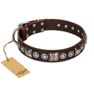 "Pierian spring" FDT Artisan Brown Leather Golden Retriever Collar with Silvery Decorations