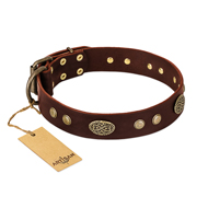 "Old-fashioned Glamor" FDT Artisan Brown Leather Golden Retriever Collar with Old Bronze Look Plates and Circles