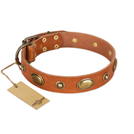 "Visual Magic" FDT Artisan Tan Leather Golden Retriever Collar for Daily Activities