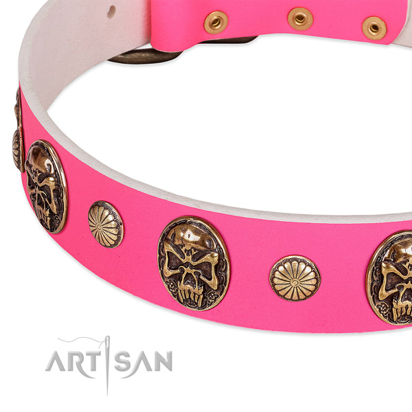 Rust resistant decorations on leather dog collar for your canine