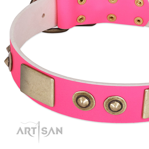 Durable adornments on full grain leather dog collar for your dog