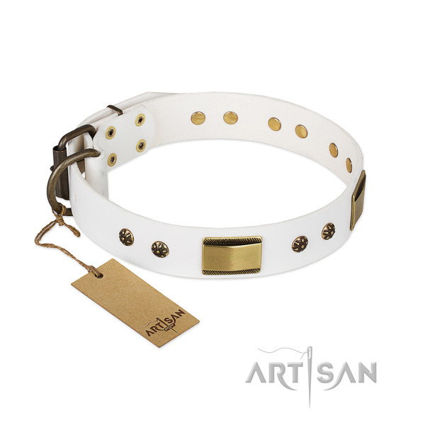 Significant full grain leather collar for your pet