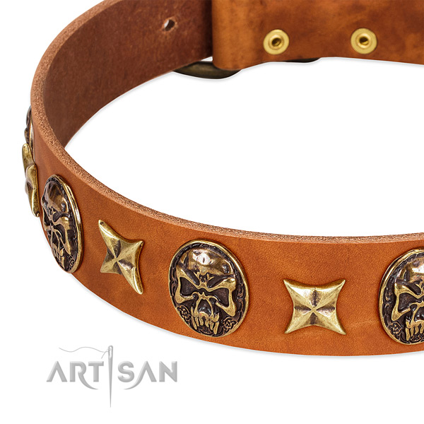 Rust resistant adornments on full grain leather dog collar for your pet
