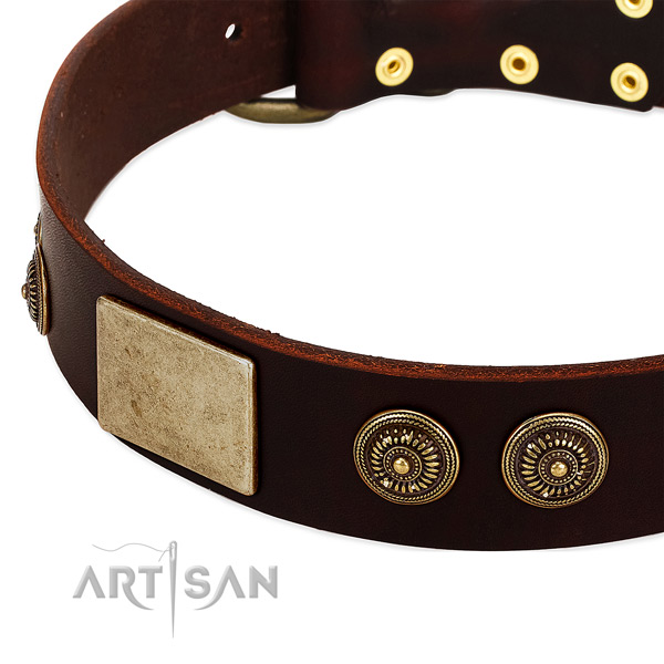 Strong buckle on genuine leather dog collar for your dog