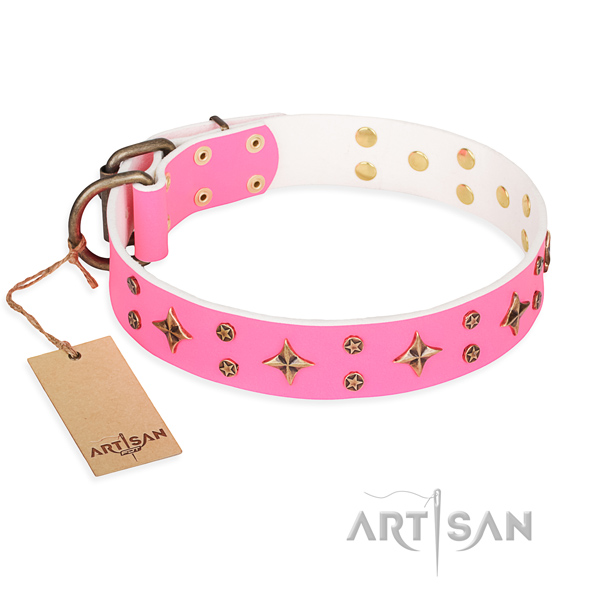 Daily use dog collar of best quality leather with decorations
