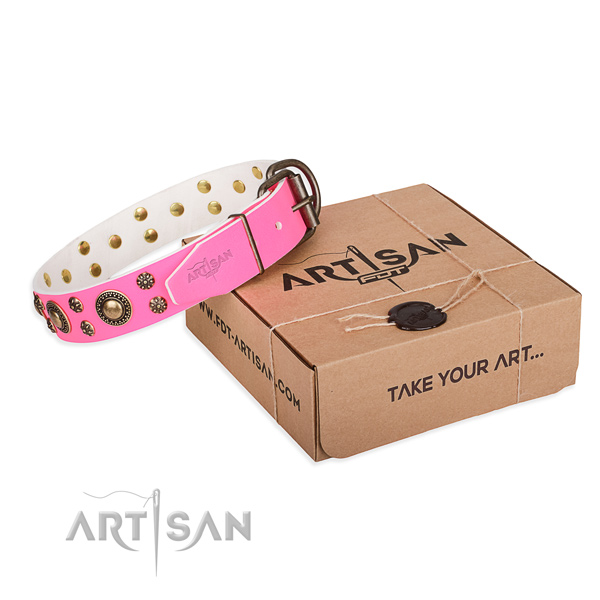 Stylish walking dog collar of top notch genuine leather with embellishments