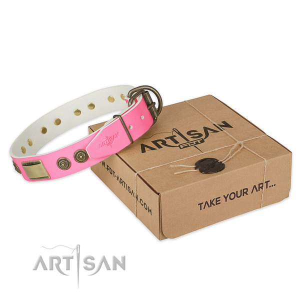Durable fittings on dog collar for daily use