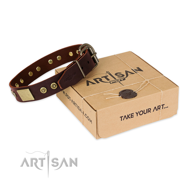 Durable fittings on dog collar for daily use