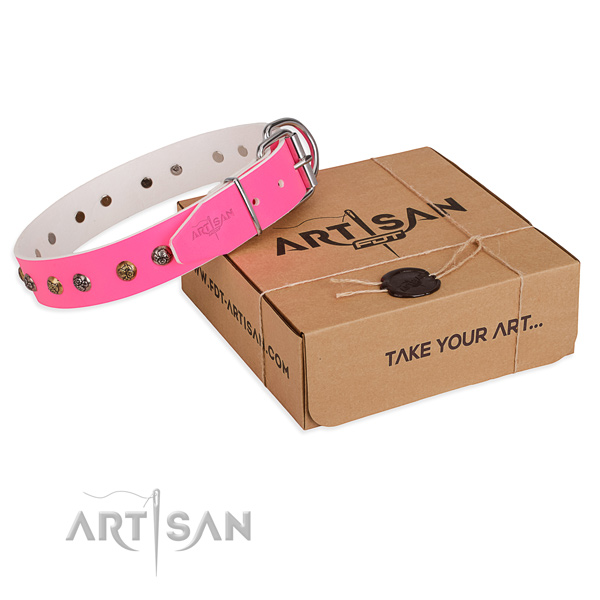Stylish walking dog collar with Remarkable corrosion resistant studs