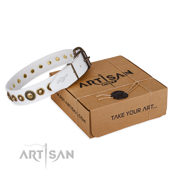 Strong full grain leather dog collar made for fancy walking