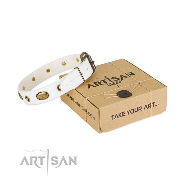 Exceptional full grain genuine leather collar for your attractive four-legged friend