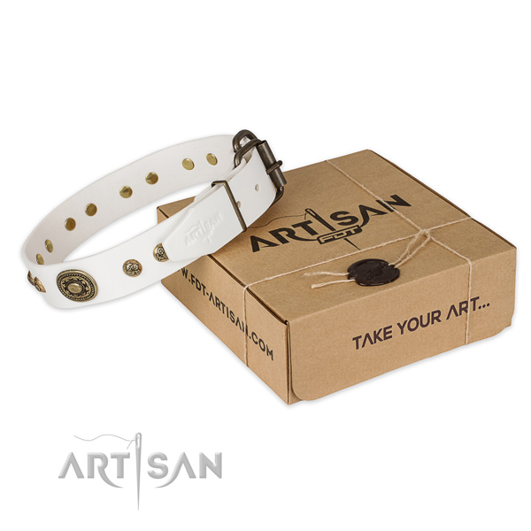 Corrosion proof fittings on genuine leather dog collar for handy use