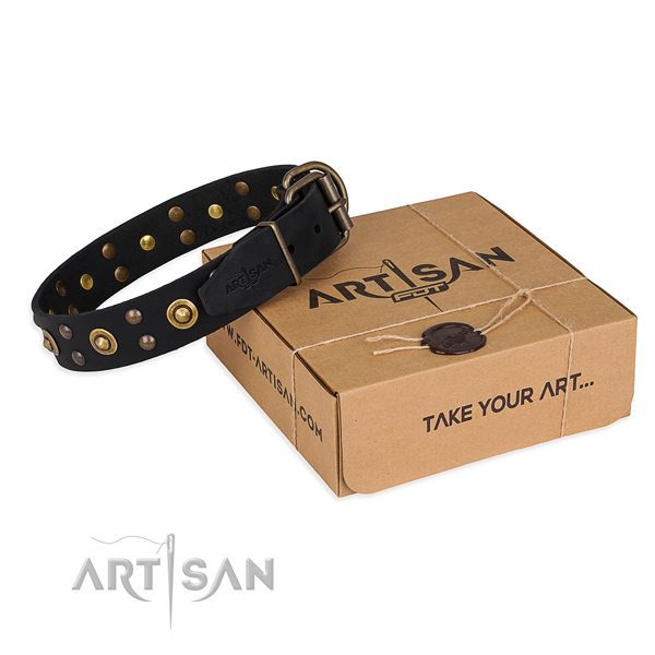 Corrosion resistant traditional buckle on genuine leather collar for your handsome dog