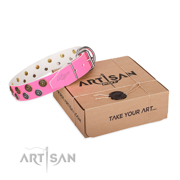 Handy use dog collar of fine quality natural leather with embellishments