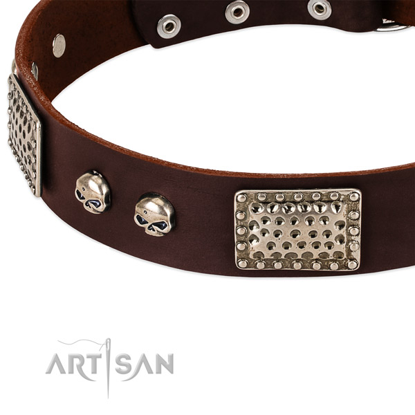 Rust resistant fittings on full grain leather dog collar for your dog