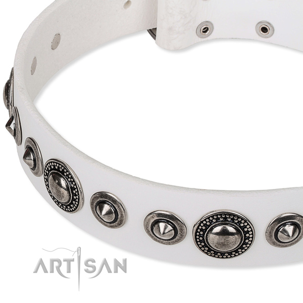 Fancy walking studded dog collar of finest quality full grain natural leather