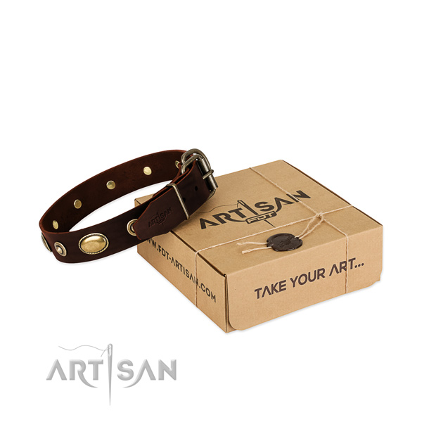 Corrosion proof hardware on natural leather dog collar for your pet