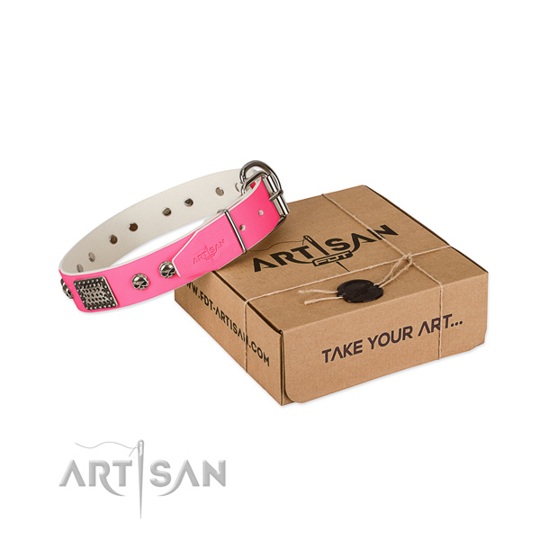 Reliable decorations on dog collar for stylish walking