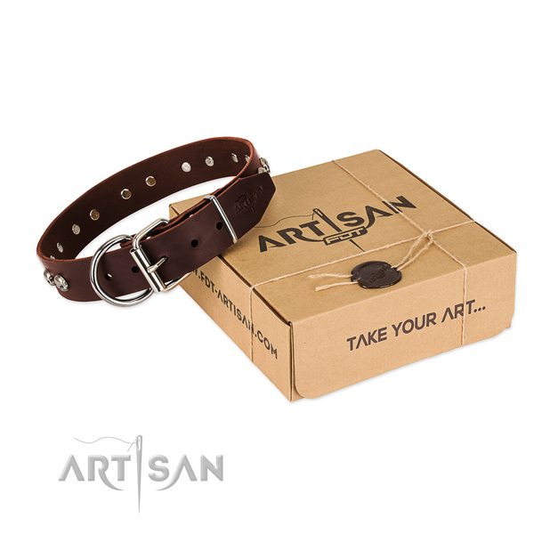 Corrosion proof decorations on dog collar for walking