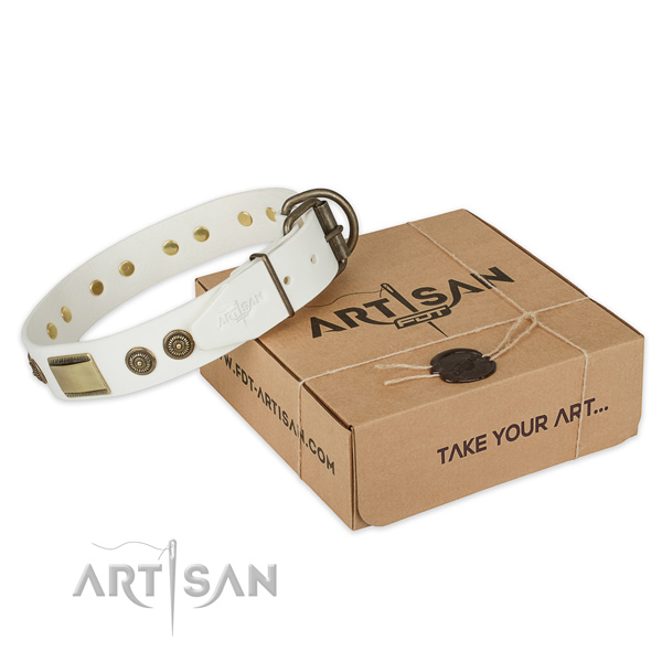 Rust resistant traditional buckle on genuine leather dog collar for handy use