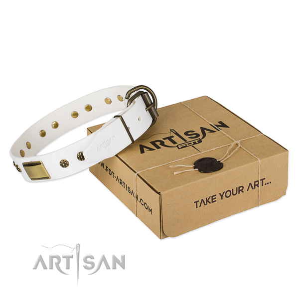 Comfortable full grain genuine leather collar for your stylish canine