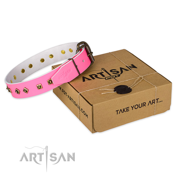 Rust-proof hardware on genuine leather dog collar for everyday walking