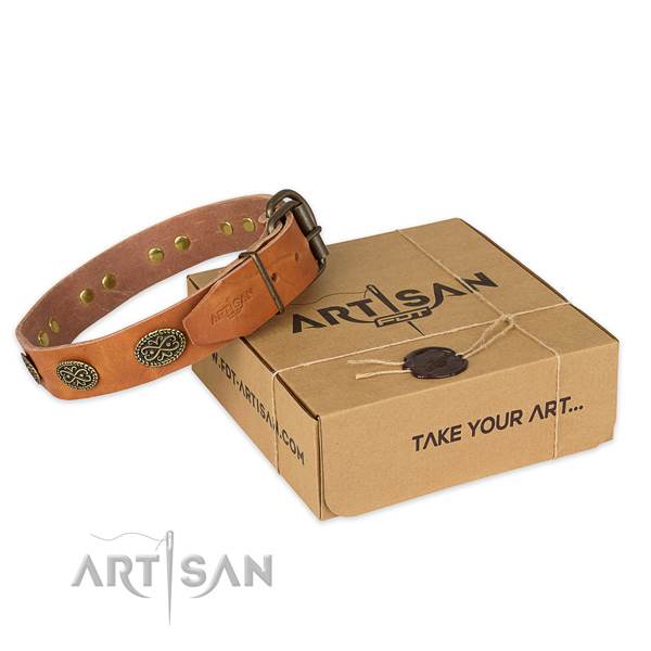 Corrosion resistant traditional buckle on full grain natural leather collar for your beautiful pet