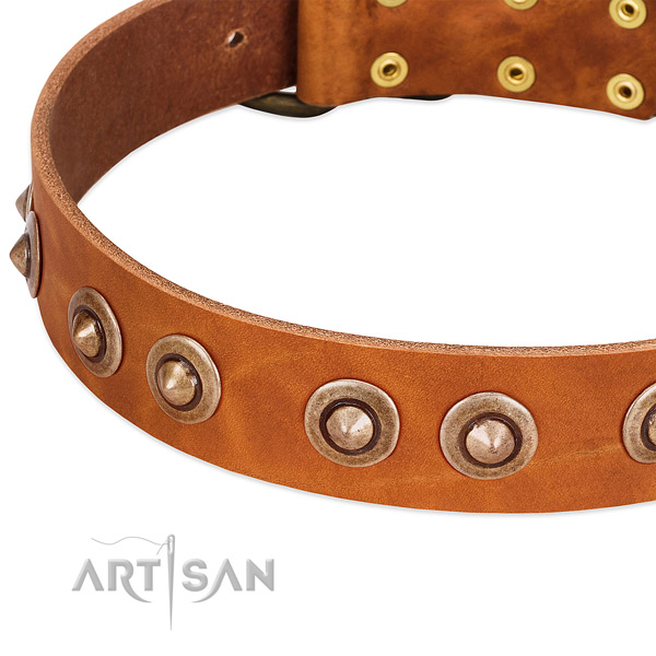 Rust resistant adornments on genuine leather dog collar for your doggie