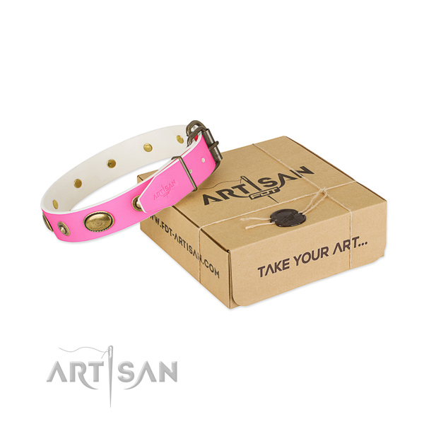 Fashionable natural leather collar for your impressive canine