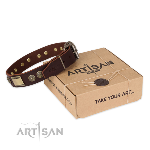 Corrosion proof hardware on genuine leather dog collar for basic training