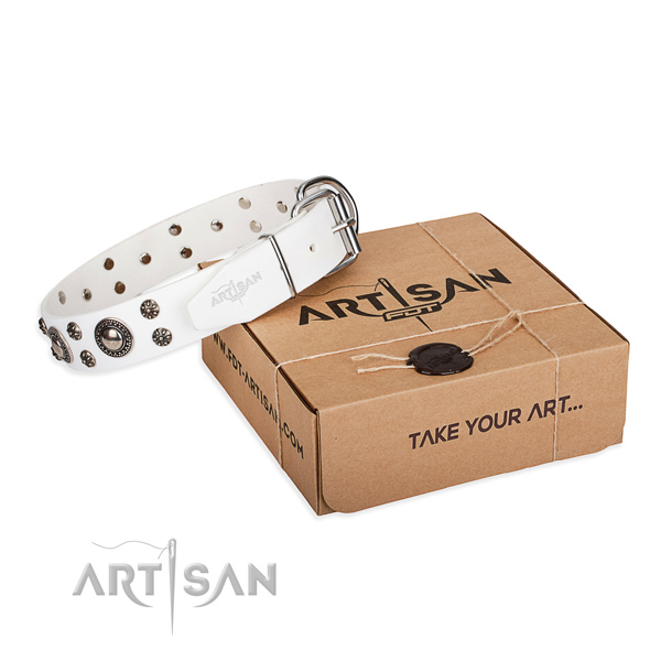 Daily use dog collar of finest quality leather with embellishments