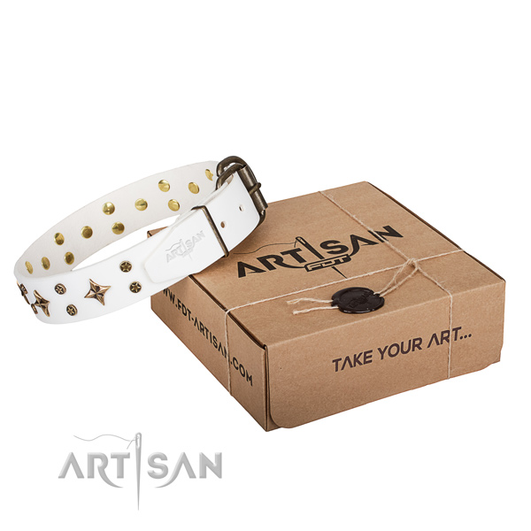 Handy use dog collar of top notch full grain natural leather with studs