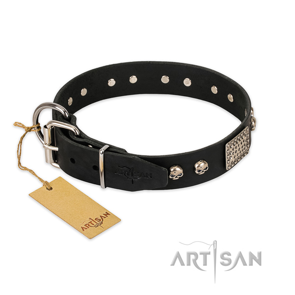 Corrosion proof fittings on stylish walking dog collar