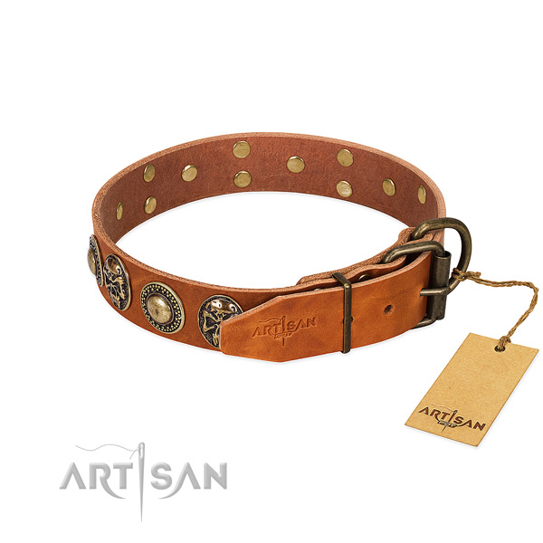 Corrosion proof decorations on handy use dog collar