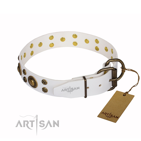 Walking embellished dog collar of high quality full grain leather