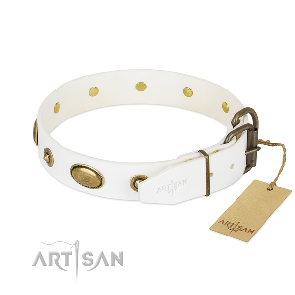 Rust resistant fittings on natural leather dog collar for your canine