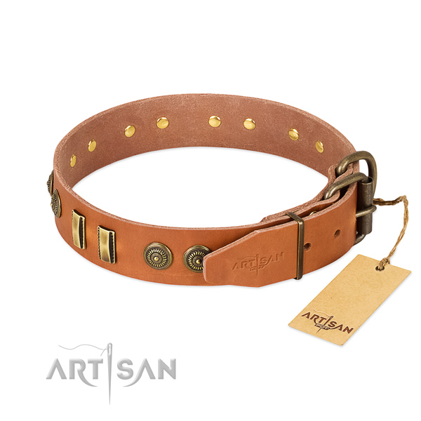 Rust resistant buckle on leather dog collar for your canine