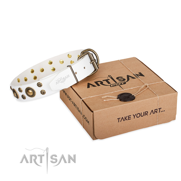 Everyday use dog collar of high quality natural leather with studs