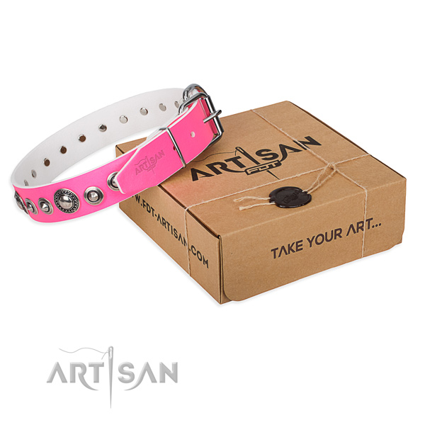 Full grain natural leather dog collar made of soft to touch material with durable buckle