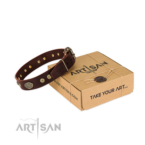 Corrosion proof adornments on leather dog collar for your doggie