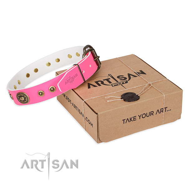 Full grain leather dog collar made of top rate material with rust resistant fittings