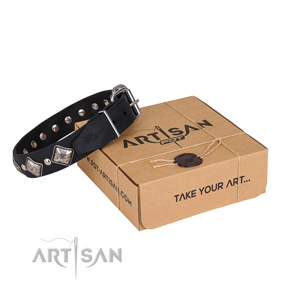 Basic training dog collar of quality full grain genuine leather with embellishments