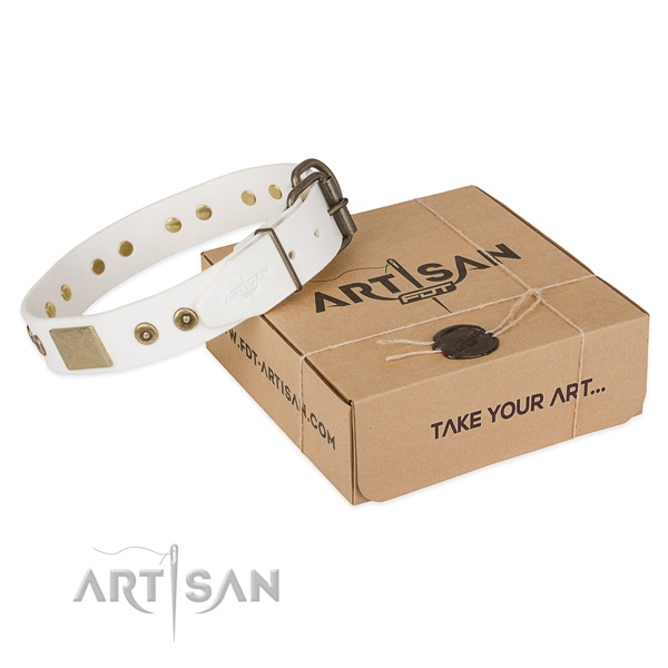 Corrosion proof D-ring on natural leather dog collar for everyday walking
