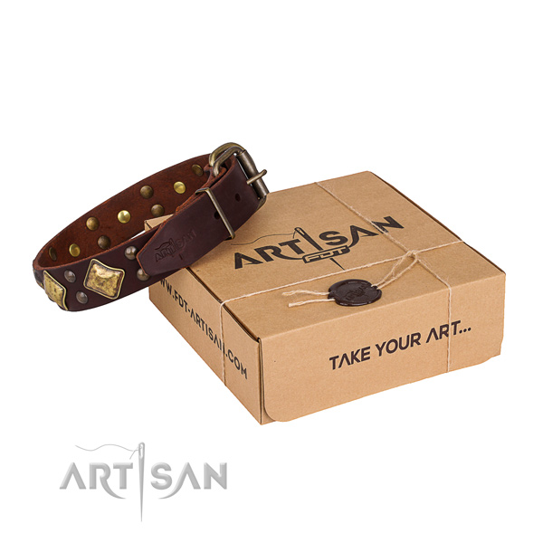 Daily use dog collar with Inimitable corrosion resistant decorations
