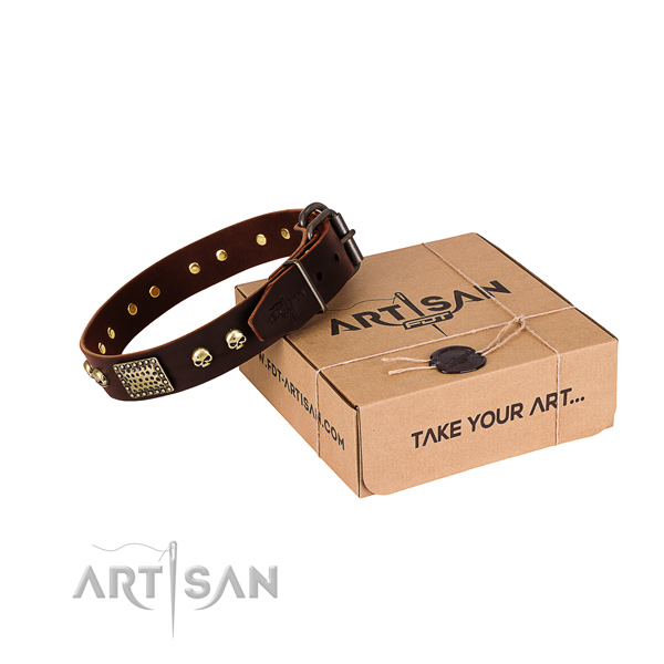 Reliable traditional buckle on dog collar for everyday use