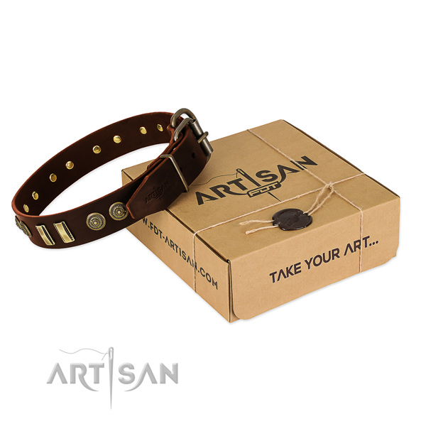 Durable decorations on full grain leather dog collar for your canine